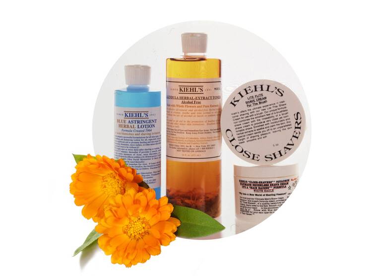 DISCOVER THE BENEFITS OF CALENDULA FOR SKIN