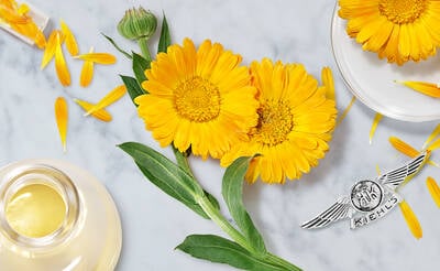 Hyaluronic Acid Benefits