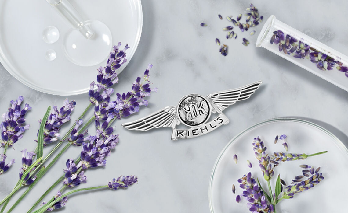 What is the Skin Barrier?